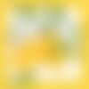 2 serviettes papier  - citrons oranges -44