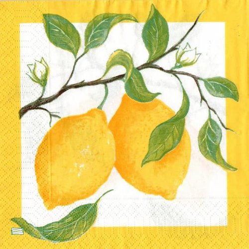 2 serviettes papier  - citrons oranges -44
