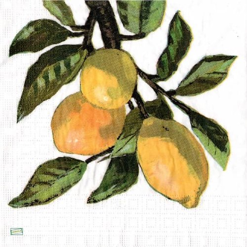 2 serviettes papier  - citrons oranges -49