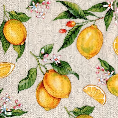 2 serviettes papier  - citrons oranges -52