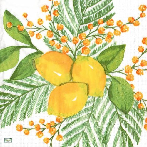 2 serviettes papier  - citrons oranges -54