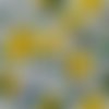 2 serviettes papier  - citrons oranges -58