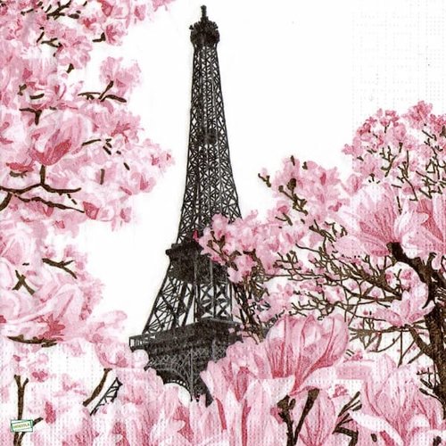 2 serviettes  papier - monuments -70