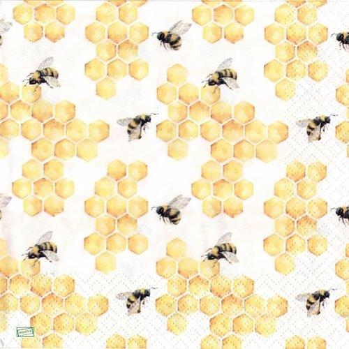 2 serviettes papier - insectes -9