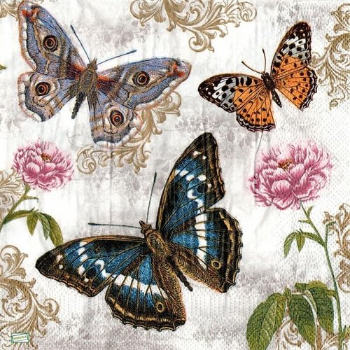 2 serviettes papier - insectes -13