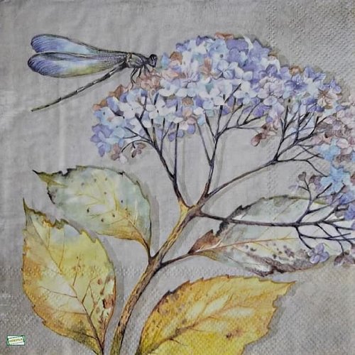 2 serviettes papier - insectes -31