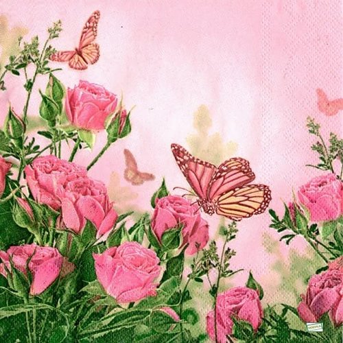 2 serviettes papier - insectes -34