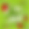 2 serviettes papier - insectes -43