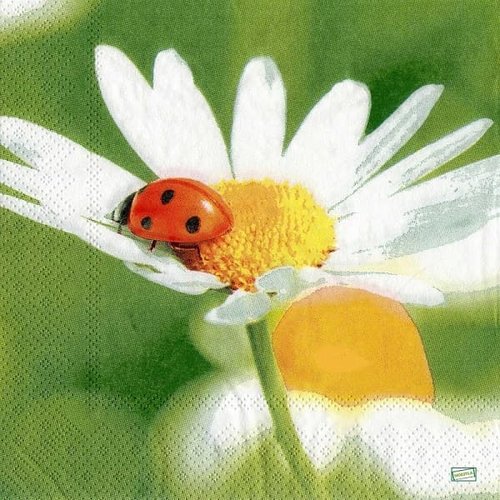 2 serviettes papier - insectes -81