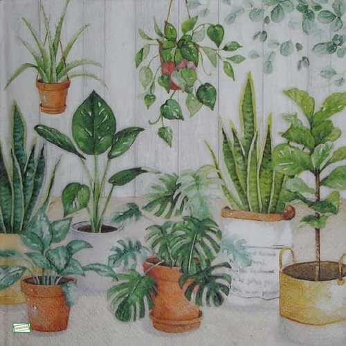 2 serviettes papier - feuillages -20