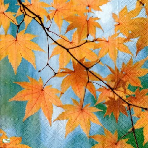 2 serviettes papier - feuillages -35