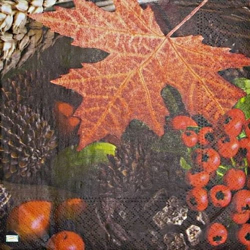 2 serviettes papier - feuillages -50