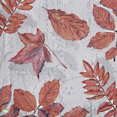 2 serviettes papier - feuillages -55