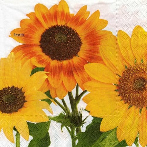 2 serviettes papier - tournesols marguerites-3
