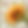 2 serviettes papier - tournesols marguerites-11
