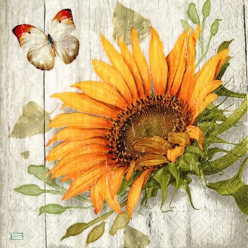 2 serviettes papier - tournesols marguerites-11