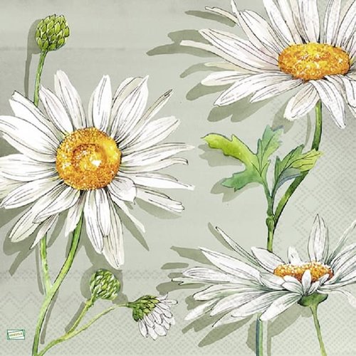 2 serviettes papier - tournesols marguerites-21
