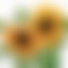 2 serviettes papier - tournesols marguerites-28