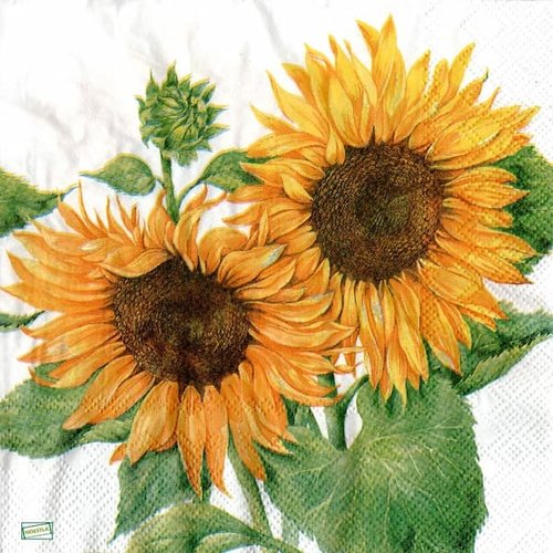 2 serviettes papier - tournesols marguerites-28
