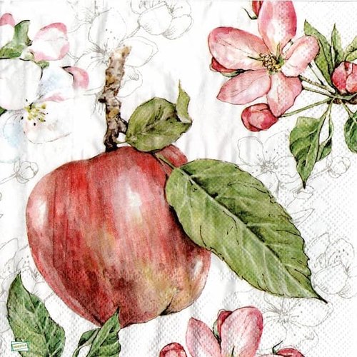 2 serviettes papier - pommes poires -5