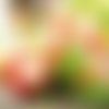 2 serviettes papier - pommes poires -13