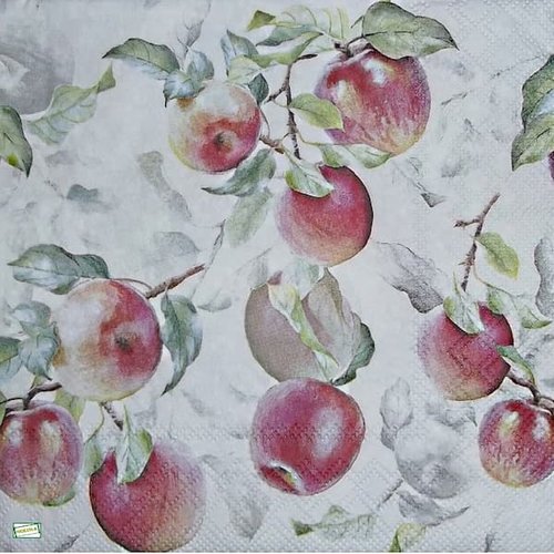 2 serviettes papier - pommes poires -40