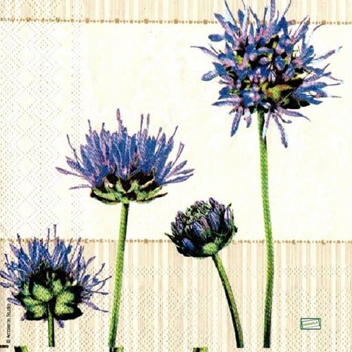 2 serviettes papier  mix de fleurs -81
