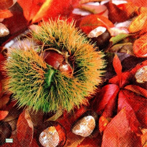 2 serviettes papier - autres fruits -27