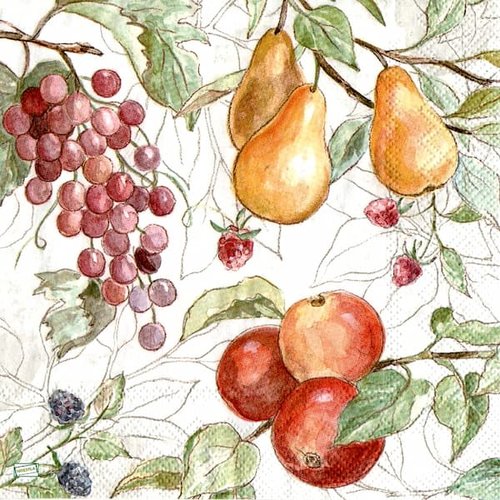 2 serviettes papier - autres fruits -28
