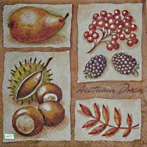 2 serviettes papier - autres fruits -41