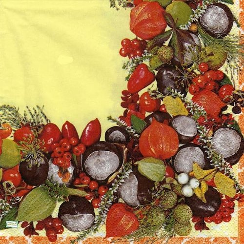 2 serviettes papier - autres fruits -46