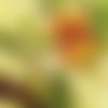 2 serviettes papier - autres fruits -48