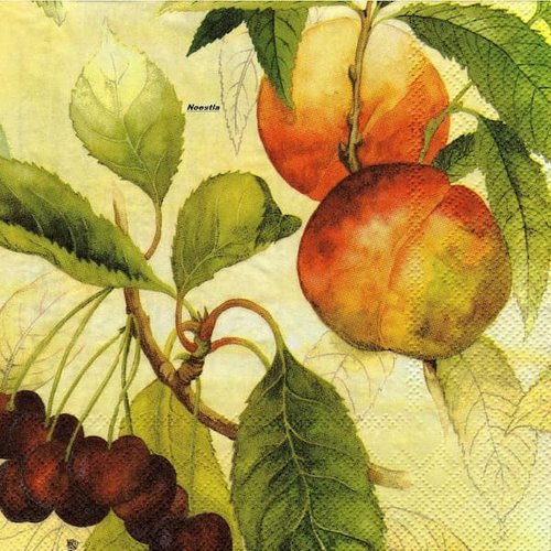 2 serviettes papier - autres fruits -48