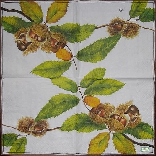 2 serviettes papier - autres fruits -51