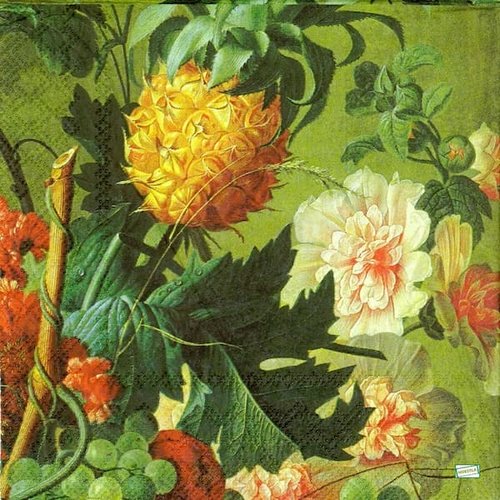 2 serviettes papier - autres fruits -52
