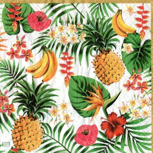 2 serviettes papier - autres fruits -60
