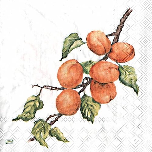 2 serviettes papier - autres fruits -72