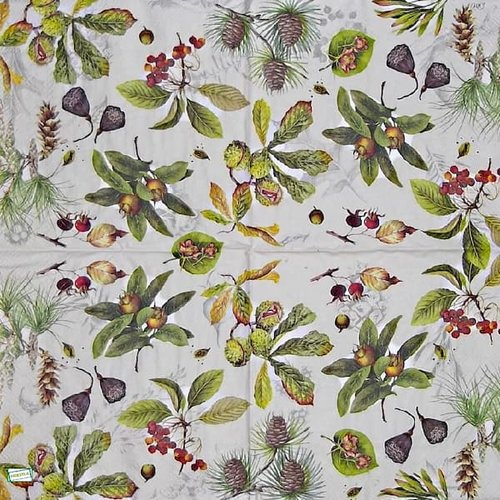 2 serviettes papier - autres fruits -76