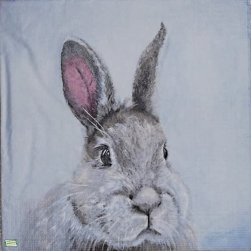 2 serviettes papier - animaux ferme -2