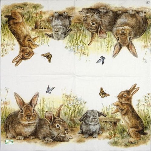 2 serviettes papier - animaux ferme -7