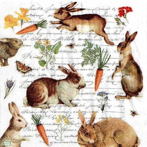 2 serviettes papier - animaux ferme -15