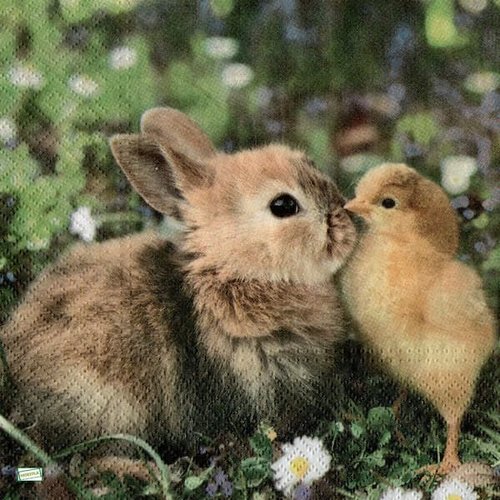 2 serviettes papier - animaux ferme -23