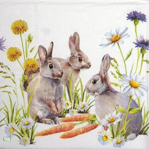 2 serviettes papier - animaux ferme -24