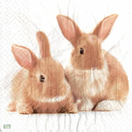 2 serviettes papier - animaux ferme -34