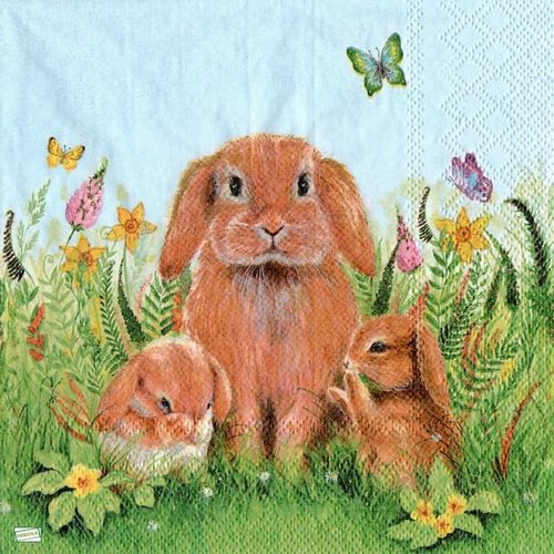 2 serviettes papier - animaux ferme -52