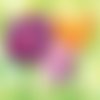 2 serviettes papier - tulipes jonquilles -31