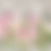 2 serviettes papier - tulipes jonquilles -45