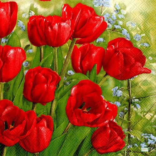 2 serviettes papier - tulipes jonquilles -50