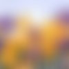 2 serviettes papier - tulipes jonquilles -57