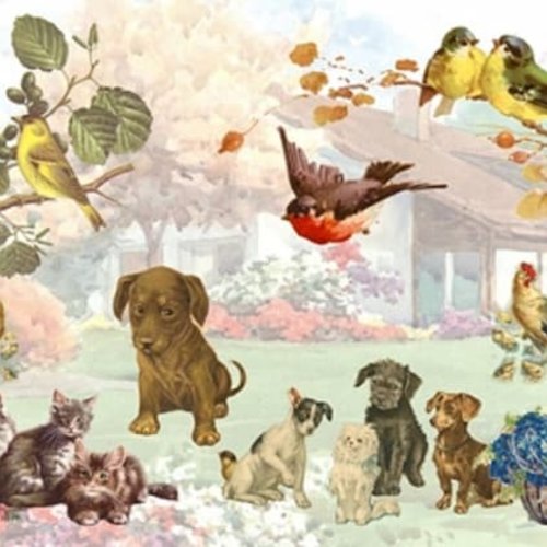 1grand papier de riz animaux-za34r